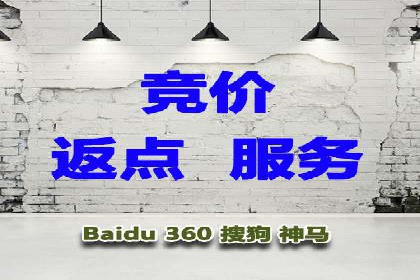 行业领先的SEM推广代运营公司案例集锦